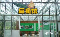 深圳光明農場大觀園旅遊攻略之蔬園巨星館