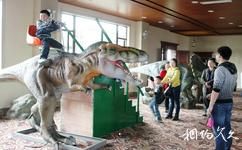 乐山峨眉仙芝竹尖生态园旅游攻略之恐龙商品展示区