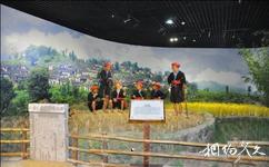 清遠廣東瑤族博物館旅遊攻略之瑤山春秋