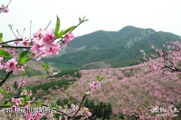 陝西石門山國家森林公園-桃花川照片