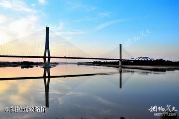 济南百里黄河风景区-斜拉式公路桥照片