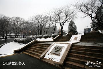 韩国延世大学-延世的冬天照片