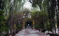 新疆艾提尕爾清真寺旅遊攻略之庭院