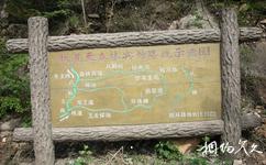 天津八仙山国家自然保护区旅游攻略之栈道线路