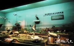 大慶市博物館旅遊攻略之東北第四紀生態環境