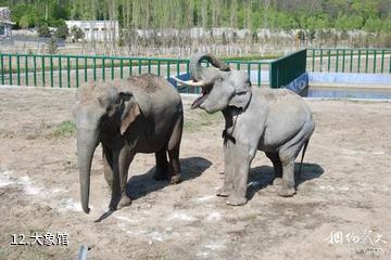 北方森林动物园-大象馆照片