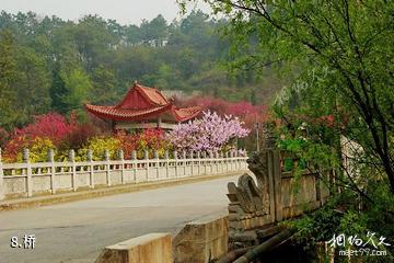 兴义贵州醇景区-桥照片