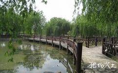 上海大观园旅游攻略之曲径通幽