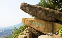 蘇州天平山旅遊攻略之鱉魚石