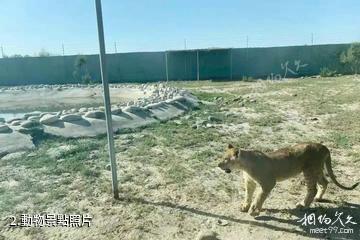 和田市動物園-動物照片