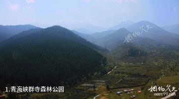 青海峡群寺森林公园照片