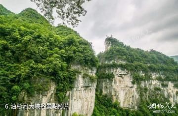 大方油杉河風景區-油杉河大峽谷照片