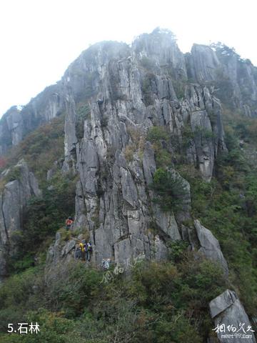 浙江清凉峰国家级自然保护区-石林照片