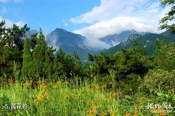 信阳市黄柏山国家森林公园-黄花岭照片