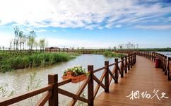 寧河七裏海國家濕地公園旅遊攻略之木棧道