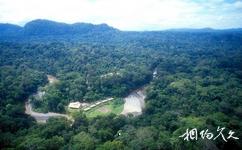 馬來西亞沙巴島旅遊攻略之丹濃谷自然保護區