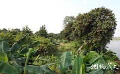 广州海珠湿地公园旅游攻略之果林湿地
