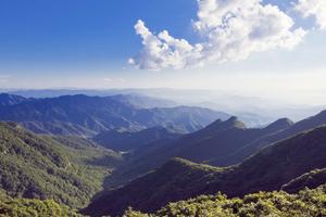 河南安陽三門峽陝縣西張村旅遊攻略-西張村鎮景點排行榜