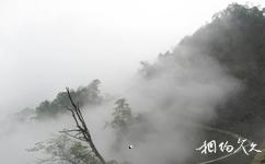 什邡鎣華山旅遊攻略之霧海