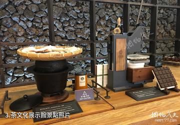 濟州島雪綠茶博物館-茶文化展示館照片