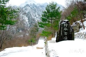 四川广元青川唐家河国家级自然保护旅游景点大全