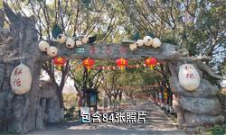 上海联怡枇杷乐园驴友相册