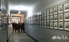 波蘭奧斯維辛集中營旅遊攻略之罹難者