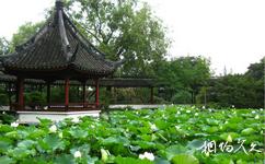 上海醉白池公園旅遊攻略之華亭鶴