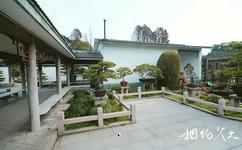 上海植物园旅游攻略之盆景园