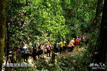 西雙版納勐遠仙境景區-體驗游照片