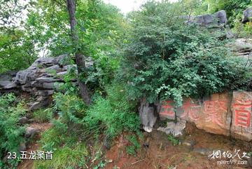 荥阳环翠峪风景区-五龙聚首照片