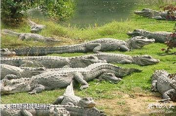 南京紫清湖生態旅遊溫泉度假區-生態園照片