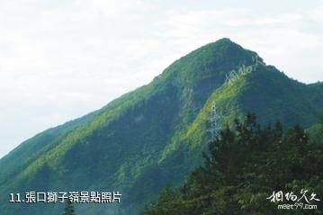 萍鄉楊岐山風景區-張口獅子嶺照片