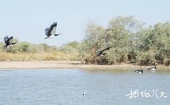塞内加尔朱贾国家鸟类保护区旅游攻略之植被