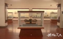 鄂州市博物馆旅游攻略之《鄂州出土文物精品展》