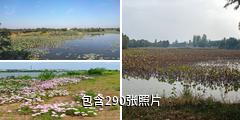 泗洪洪泽湖湿地景区驴友相册