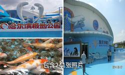 哈尔滨极地馆驴友相册