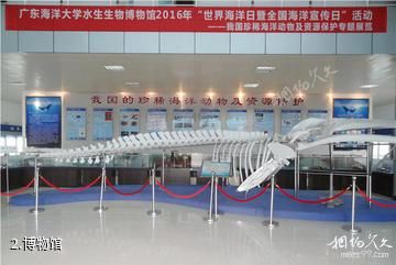 广东海洋大学水生生物博物馆-博物馆照片