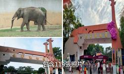 南寧動物園驢友相冊