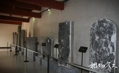 洛阳偃师商城博物馆旅游攻略之石刻艺术长廊