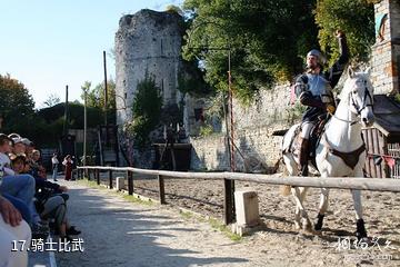 法国普罗万中世纪集镇-骑士比武照片