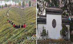 溧阳凤凰公园驴友相册