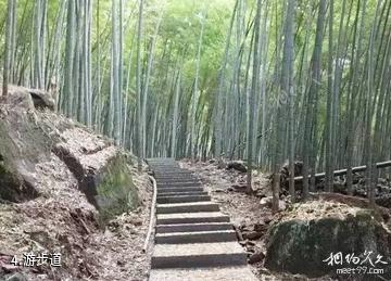 贵溪青茅境景区-游步道照片