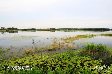 青島沽河金岸-大沽河照片