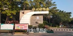柳州动物园驴友相册