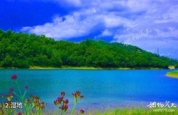 毕节金海湖公园-湿地照片