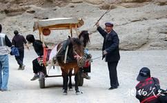 甘肅景泰黃河石林旅遊攻略之畜力車