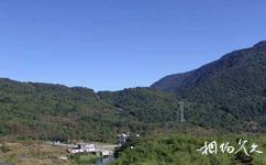 云南金平分水岭国家级自然保护区旅游攻略