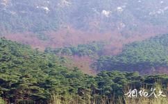 泰安徂徠山國家森林公園旅遊攻略之劉龍溝