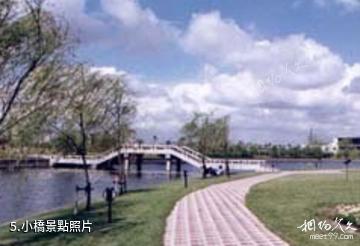 上海大學-小橋照片